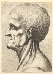 Głowa bezzębnego mężczyzny z nagą, żylastą szyją z profilu po lewej, 1648.