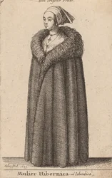 Irlandka, 1649.