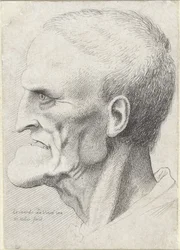 Portret starca z wyraźnym podbródkiem