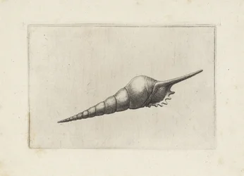 Schelp, melanocheilus wrzeciona fletu Schelpen (tytuł serii)