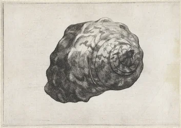 Powłoka, turbo sarmaticus Pociski (tytuł serii)