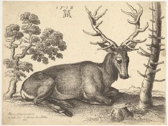 Jeleń leżący po prawej, 1649.
