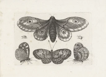 Motyle, chrząszcze i ćma Owady (tytuł serii) Muscarum Scarabeorum (tytuł serii)