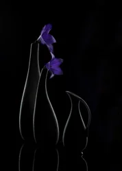 Wazony „Purple Bloom”