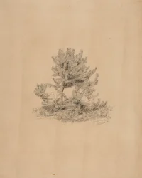 Bez tytułu
