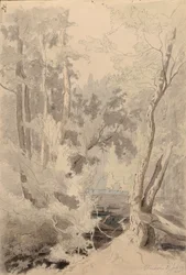 Bez tytułu