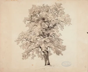 Bez tytułu