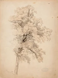 Bez tytułu