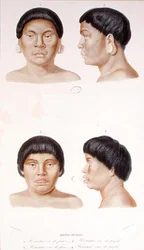 Studium antropometryczne dwóch Indian Botocudos, grawerowane przez Fourniera, połowa XIX wieku (litografia barwna)