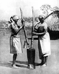 Dwie kobiety z plemienia Mashona tłuką kukurydzę i proso, Zimbabwe, Afryka, 1936.