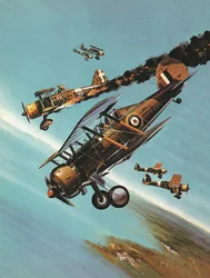 Słynne samoloty i ich piloci: Gloster Gladiator -- Squadron Leader Pattle