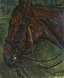 głowa konia