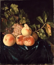 Martwa natura z brzoskwiń i winogron, 1705