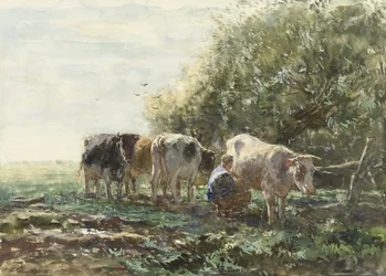 Dojarka