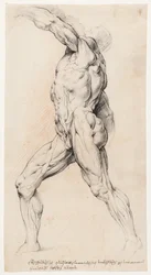 Studium anatomiczne (écorché)