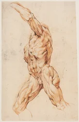 Studium anatomiczne (écorchés). Chodzący mężczyzna ze skóry obrócony w lewo