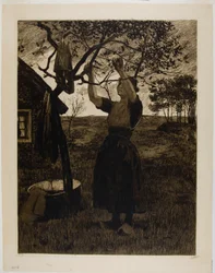 Jabłoń
