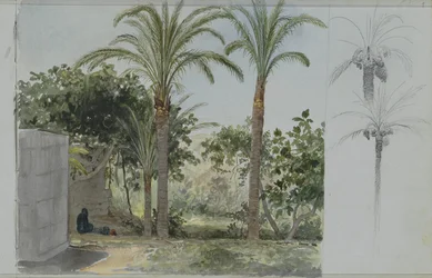 Oaza z palmami
