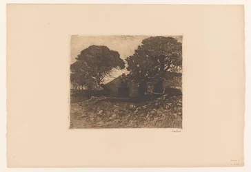 Farma lub farma w pobliżu dużych drzew