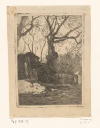 Drzewa i pedały przy płocie Gałązki przy płocie z drzewami (tytuł oryginalny)