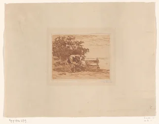 Dojenie Bur (tytuł oryginalny)