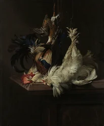 Martwa natura z Fowl Martwa natura z drobiem