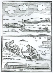 Facsmilie of the Hieroglyphic of the Great Plague z "Monarchy or No Monarchy in England" Williama Lilly