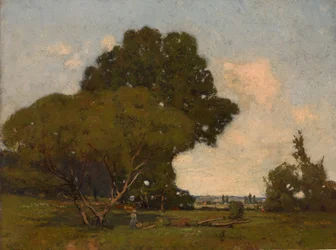 Drzewa, wczesne popołudnie, Francja, ok. godz. 1905.