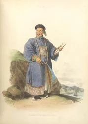 tylko chow-on-może