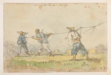 WD 959 sekcja 2 f.41r