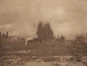 Krajobraz Pasadeny, 1899.