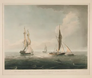 Kambryjczyk z Bostonu