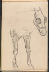 Szkic konia z klapkami na oczach, 1879 ok