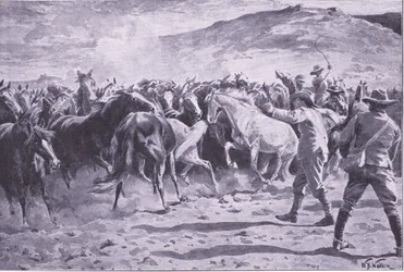 Zdobycie koni w dzielnicy Brandwater pod Fouriesburgiem: łapanie stada, ilustracja z filmu After Pretoria: The Guerilla War, 1902
