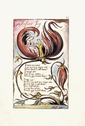 Radość niemowlęcia, 1789