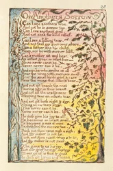 O smutku kogoś innego, ilustracja z „Pieśni o niewinności i doświadczeniu” (Bentley Copy L) pl.28 (Bentley 27) 1789-94 (akwaforta wypukła piórem i akwarela na papierze)