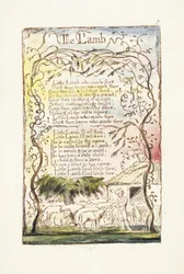 Baranek, 1789