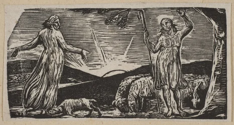 Thenot protestuje z Colinet, z Thorntons Pastorals of Virgil, 1821.