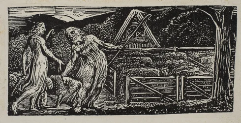 Thenot i Colinet prowadzą razem swoje stada, z Pastorals of Virgila Thorntona, 1821.