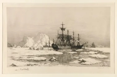 Uszczelniacze w Arktyce, po obrazie: Wśród kry lodowej, 1875