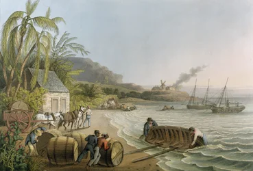 Carting and Putting Sugar Hogsheads on Board", płyta X z "Ten Views in the Island of Antigua", wydana przez W. Clark, Londyn, 1823 (akwatinta barwna)