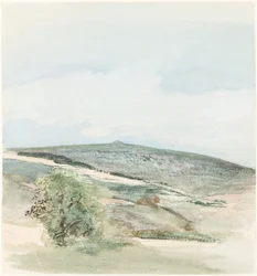 Heath w Sussex