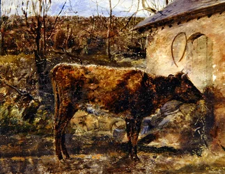 Łydka