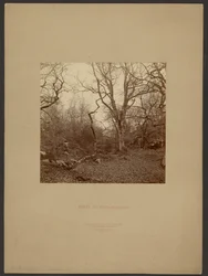 Las Fontainebleau