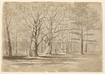 Kolegium Woods