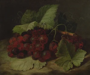 Martwa natura z winogron