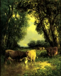 Cichy zakątek, 1885.