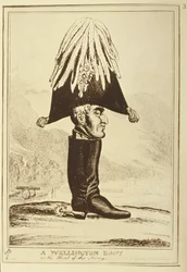 But Wellingtona, czyli szef armii, 1827