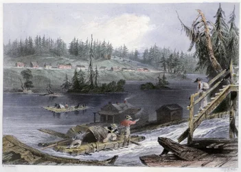 Transport du bois à „” les Chats”” – w „” kanadyjskiej scenerii zilustrowanej”” autorstwa Bartletta W.H.