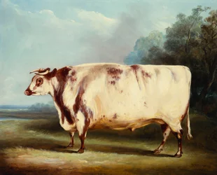 Bulla nagrody, 1839